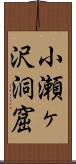 小瀬ヶ沢洞窟 Scroll