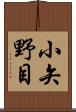小矢野目 Scroll