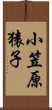 小笠原猿子 Scroll