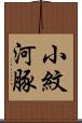 小紋河豚 Scroll