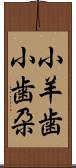 小羊歯 Scroll