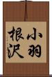 小羽根沢 Scroll