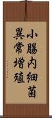 小腸内細菌異常増殖 Scroll