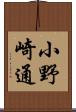 小野崎通 Scroll