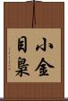 小金目梟 Scroll