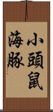 小頭鼠海豚 Scroll