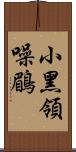 小黑領噪鶥 Scroll