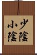 少陰 Scroll
