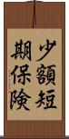 少額短期保険 Scroll