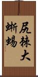 尻棘大蜥蜴 Scroll