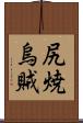 尻焼烏賊 Scroll