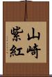 山崎紫紅 Scroll
