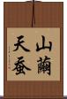 山繭 Scroll