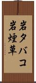 岩タバコ Scroll
