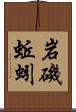 岩磯蚯蚓 Scroll