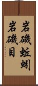岩磯蚯蚓 Scroll