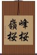 峰桜 Scroll