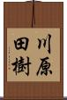 川原田樹 Scroll