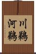 川鵜 Scroll