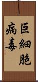 巨細胞病毒 Scroll