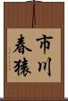 市川春猿 Scroll