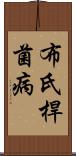 布氏桿菌病 Scroll