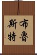 Brewster Scroll
