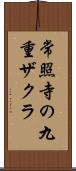 常照寺の九重ザクラ Scroll