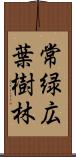 常緑広葉樹林 Scroll