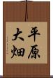 平原大畑 Scroll