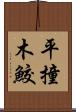平撞木鮫 Scroll