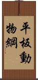 平板動物綱 Scroll