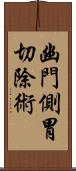 幽門側胃切除術 Scroll