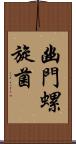 幽門螺旋菌 Scroll