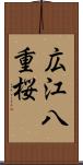 広江八重桜 Scroll