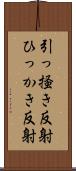 引っ掻き反射 Scroll
