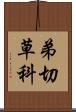 弟切草科 Scroll