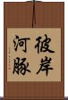 彼岸河豚 Scroll