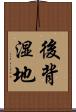 後背湿地 Scroll