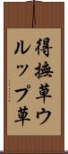 得撫草 Scroll
