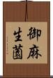 御麻生薗 Scroll