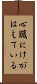 心臓にけがはえている Scroll