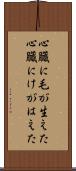 心臓に毛が生えた Scroll