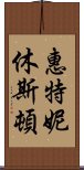 惠特妮·休斯頓 Scroll