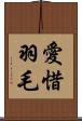 愛惜羽毛 Scroll