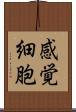 感覚細胞 Scroll