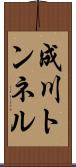 成川トンネル Scroll