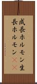 成長ホルモン Scroll