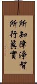 所知障淨智所行眞實 Scroll