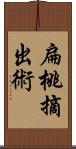 扁桃摘出術 Scroll